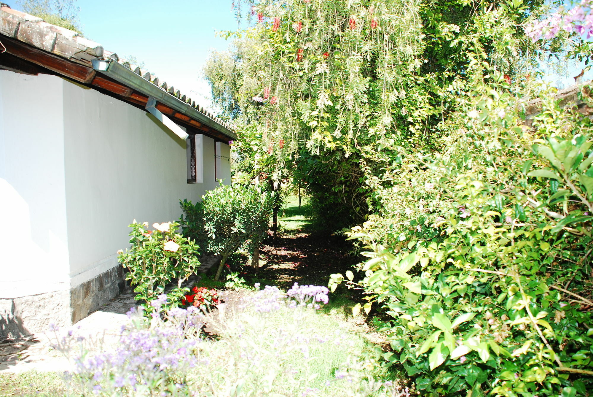 Hosteria Airport Garden Tababela Dış mekan fotoğraf